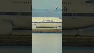 🇩🇪 Lufthansa | San Francisco International Airport #liveplanespotting
