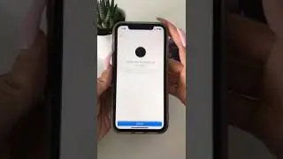 Как просматривать аналитику Instagram, чтобы увеличить количество подписчиков