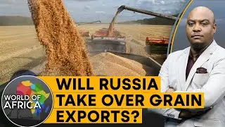 Failed grain deal worries African nations | World of Africa