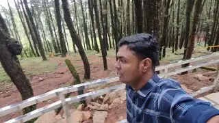 Pine Valley in Vagamon.