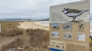 Viaje por Galicia : Corrubedo