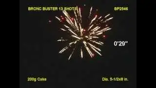 Brothers - BP2546 Bronc Buster  - New for 2014