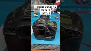 Ремонт Canon 1D mark IVЧасть 2