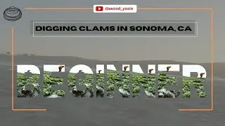 Beginner Clamming...😢  | Sonoma, California
