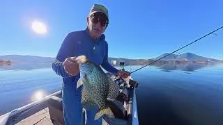 🔥 Wintertime Clearlake Crappie Are ON FIRE!