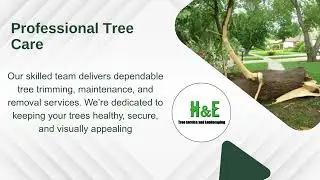 H&E Tree Service & Landscaping | Affordable Tree Care in Silver Spring, MD
