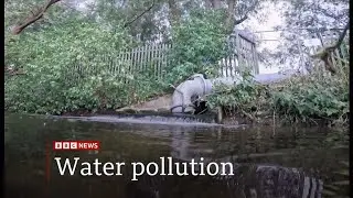 Serious water pollution in England up 60%, government says & it's a disgrace (UK) 18/July/2025