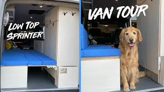 VAN TOUR: Functional Low Top Sprinter