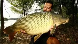 Carpfishing @ Sette Laghi  Settembre 2012