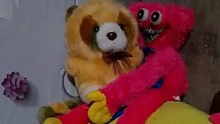 SLEEP STREAM WITH MY CUTE RACOON AND HUGGY WUGGY #SLEEPSTREAM #TOY