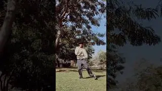 Mast Baharo Ka - Gourav Sarwan 🔥..#funk #funky #dance #dancereel