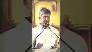 CM Chandrababu Naidu Pension Distribution #appolitics #tvnxtnews #telugunews #politicalnews