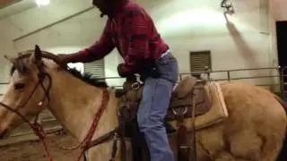 6707 Russell Beatty on Buttercup Paco Bueno lineage