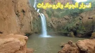 معلومات على المجدوب
