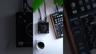 SINGULARITY + @ArturiaOfficial #drumbrute  #collisiondevices #fuzz #oneknobfuzz