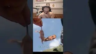 Odablock на видео National Geographic #смешно #oda #runescape #osrs #шорты