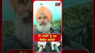 Bikram Singh Majithia | 'ਮੈਂ ਪਾਰਟੀ ਨੂੰ ਮੁੜ ਇਕੱਠਾ ਕਰਾਗਾਂ' | Shorts | N18S