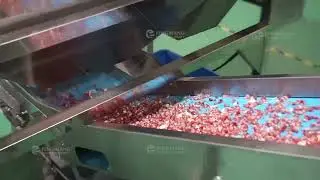 Industrial Pomegranate Passion Fruit Juice Making Machine Seed Separator Juicer Processing Line