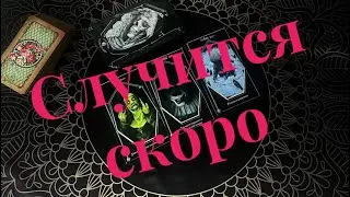 🔥 Что вас шокирует в ближайшее время? #предсказание