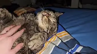 So chilled out he sneezed