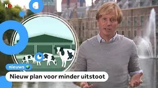Wat moet de regering doen tegen het stikstof-probleem?