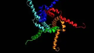 COVID-3D - Envelope Small Membrane Protein (PORE)