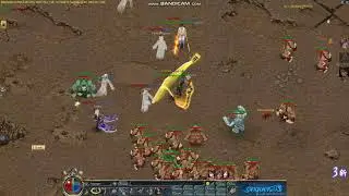 ApeCity 11/19/19
