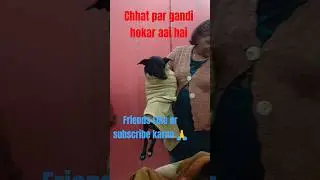 Blaku ne nahai nahai ki #shortviral #shortsfeed #shortvideo #funny #funniestvideo