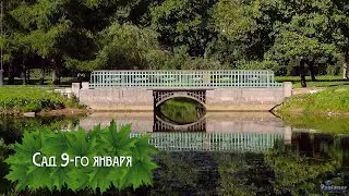 Сад 9-го января (2025)