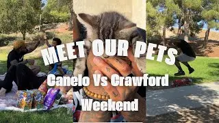 HENDOGGTV PETS *FAMILY PICNIC*