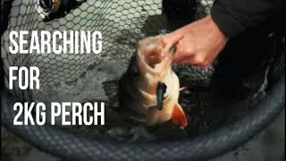 The Grind: Searching for 2KG Perch Day 1