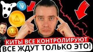 ⚠️МАССЕ УЖЕ ОЧЕВИДНО ЧТО СКАМ ⚠️ TONCOIN, DOGS, NOTCOIN, HMSTR, СТИКЕРЫ, ПОДАРКИ! НО ЕСТЬ ОДНО НО