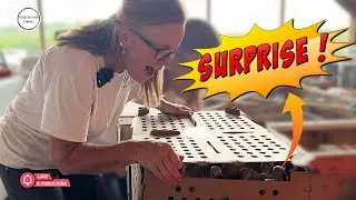 Surprising Day at the Farm With Our New Chicks!  || Air2Ground Farms