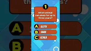 Top 5 Animal Quiz 🧠  | Can You Guess Them All? #shorts #quiz #viralshorts