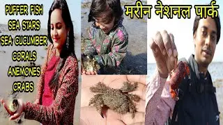 marine national Park | Narara marine national park | narara reef | jamnagar | gujarat | Neekharas