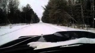 Bobcat crossing the road