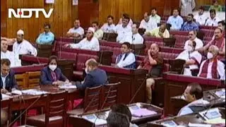 Assam Passes Contentious Cattle Bill
