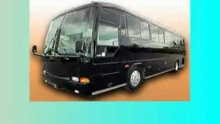Limobus