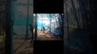 #bo #shortvideo #memes #viral #cricketequipment #cricketgrond #cricketnets
