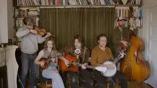 The Brothers Comatose - 