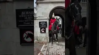 UNSETTLED HORSE: TOURISTS IGNORED WARNINGS!