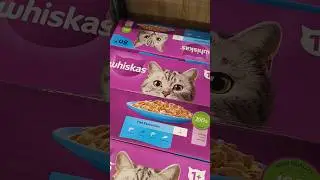 Pets food this week at Lidl on Sale #pets #petsfood #cheapprice #foodinflation #lidl  #asmr #london