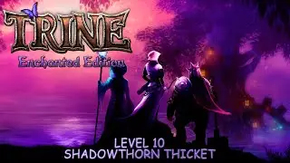 Trine: Enchanted Edition - Level 10: Shadowthorn Thicket (No Commentary)
