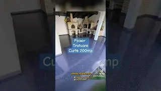 Foisor, trotuare, curte 200mp. Sistem poliuretanic pentru exterior. Pardoseli epoxidice Realion