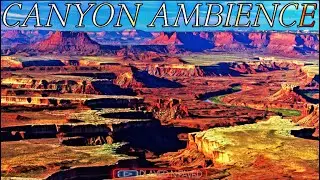 Grand Canyon Ambience Sounds / Calm Relaxing Canyon Ambiance For Studying and Sleeping / Free