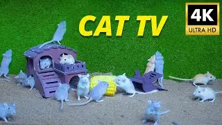 Cat TV Lets Cats Watch Mice Squeak and Dig Holes in The Sand 8 Hours 4k UHD