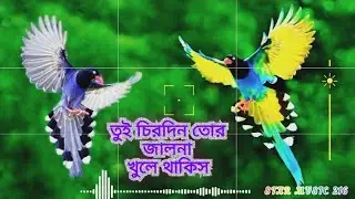 তুই চিরদিন তোর জ্বালনা খুলেদেখিস বাংলা দুঃখের গান 😥Tui Chrodin tor Jalna khola dakis Bangla Sad Song
