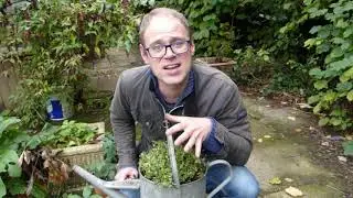 How to Prepare Your Garden Against Frost