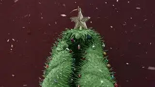 16 December 2025 - Lund University Bioimaging Centre - Christmas Calendar