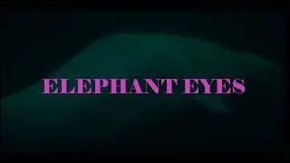 Elephant {short film}